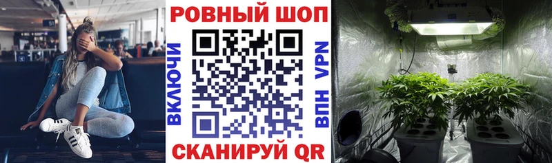 Где найти наркотики Ельня ГАШИШ  МАРИХУАНА  A PVP  Мефедрон  Амфетамин  COCAIN 