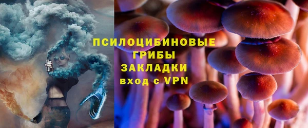 каннабис Арсеньев