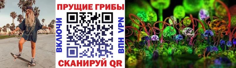 Псилоцибиновые грибы GOLDEN TEACHER  купить   Ельня 